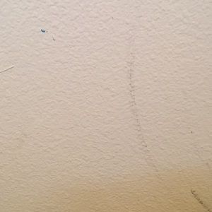 Meet your Posher, Donte